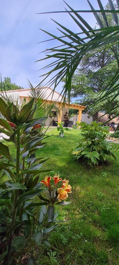 Gite Les 2 Cedres Villa Cardet Kültér fotó